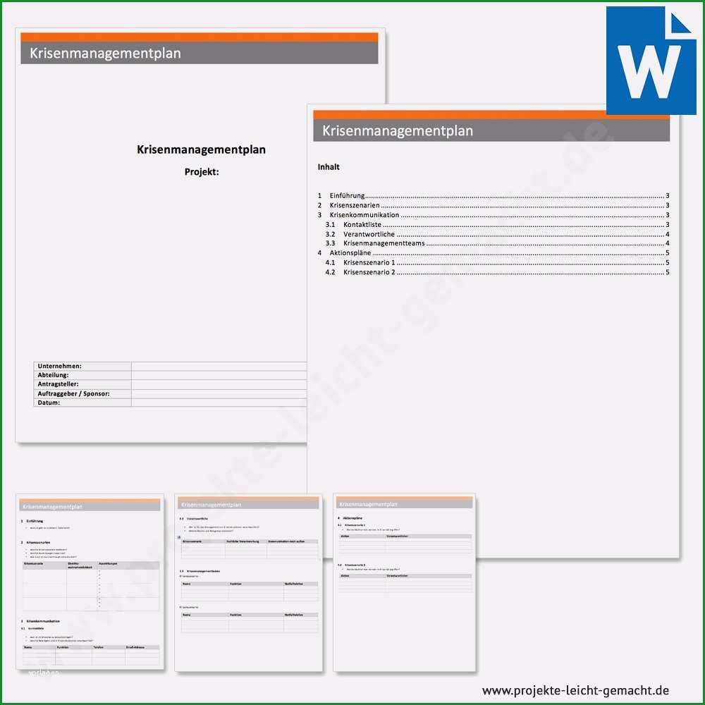 15 projektplan vorlage word