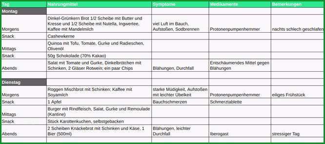 ernahrungstagebuch vorlage