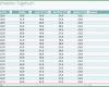 Atemberaubend Brillenpanda Sehweiten Tagebuch – Excel Vorlage