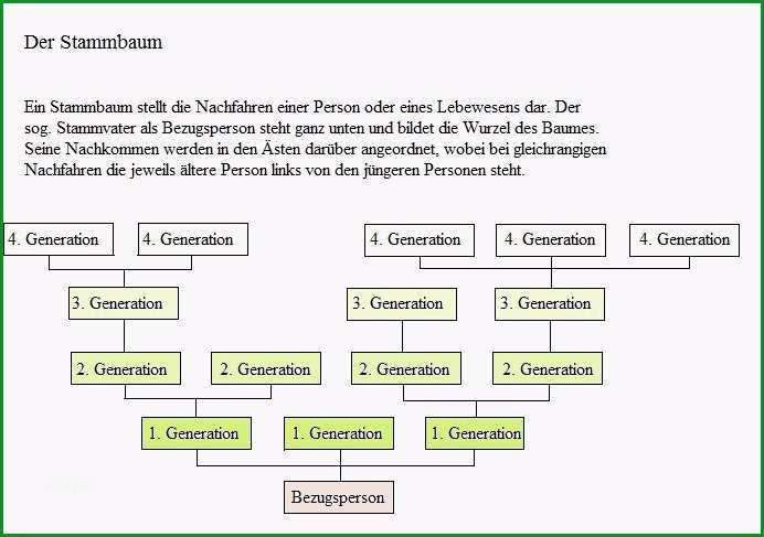 stammbaum grafiken und diagramme 87