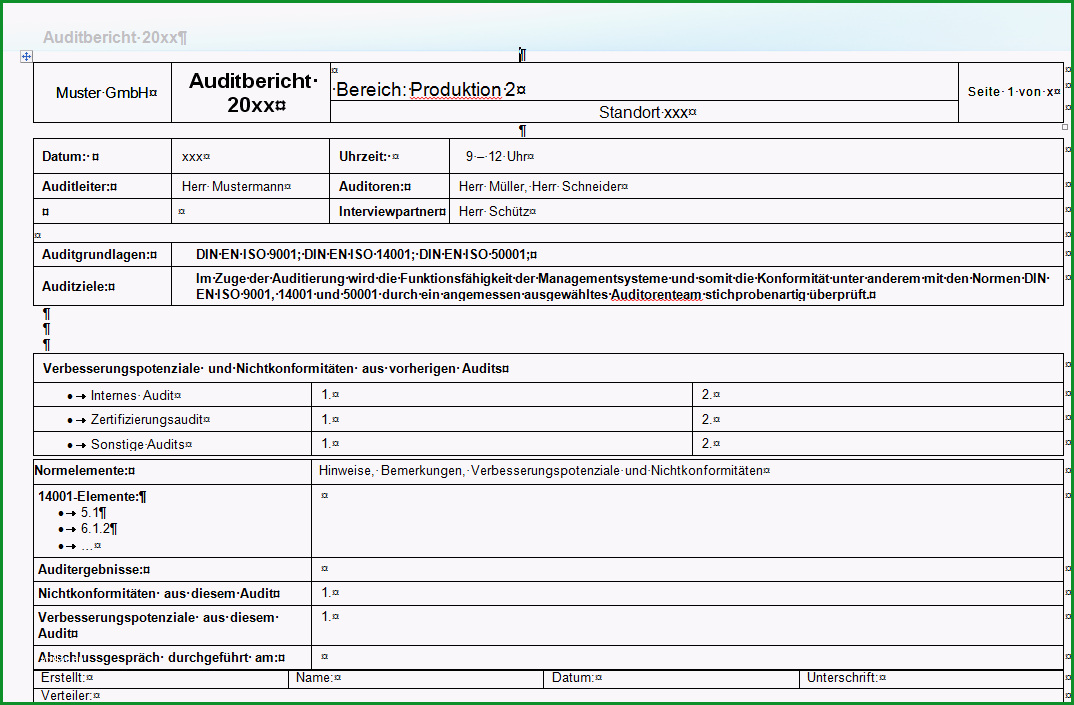 internes audit muster