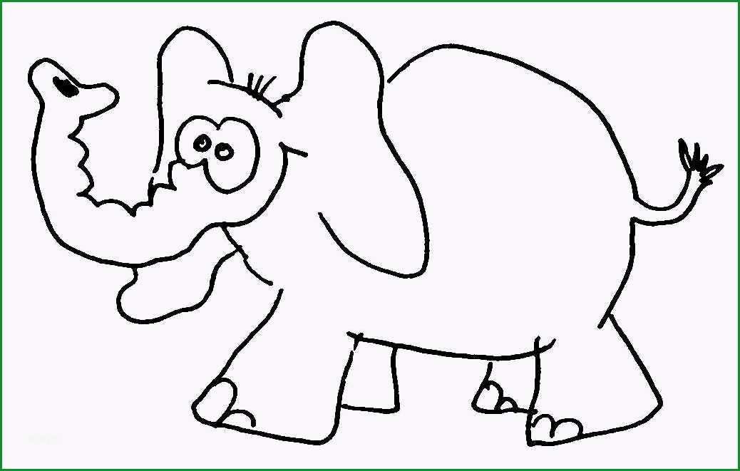 elefant