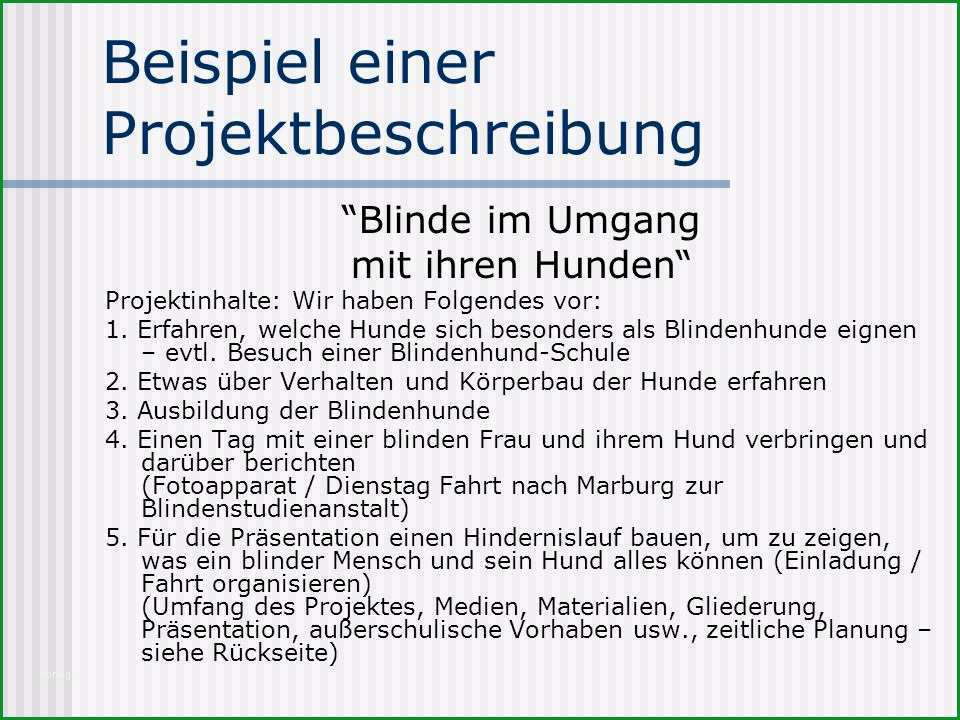 Sensationell Projektbeschreibung Vorlage Sie Müssen Es Heute Versuchen 1