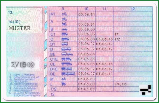 Führerschein Vorlage Zum Ausdrucken: 21 Beratung Für 2019 1