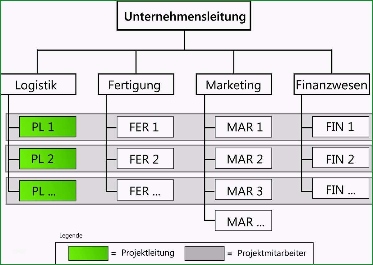 matrix projektorganisation