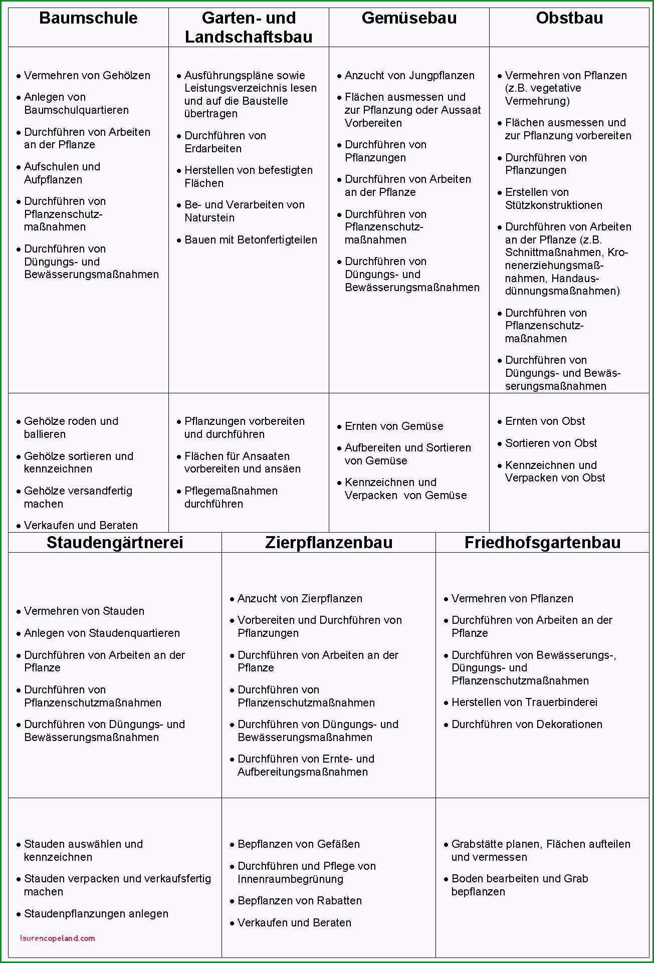 praktikum ausbildungsplan vorlage frisches bewerbung physiotherapeut ausbildung 2