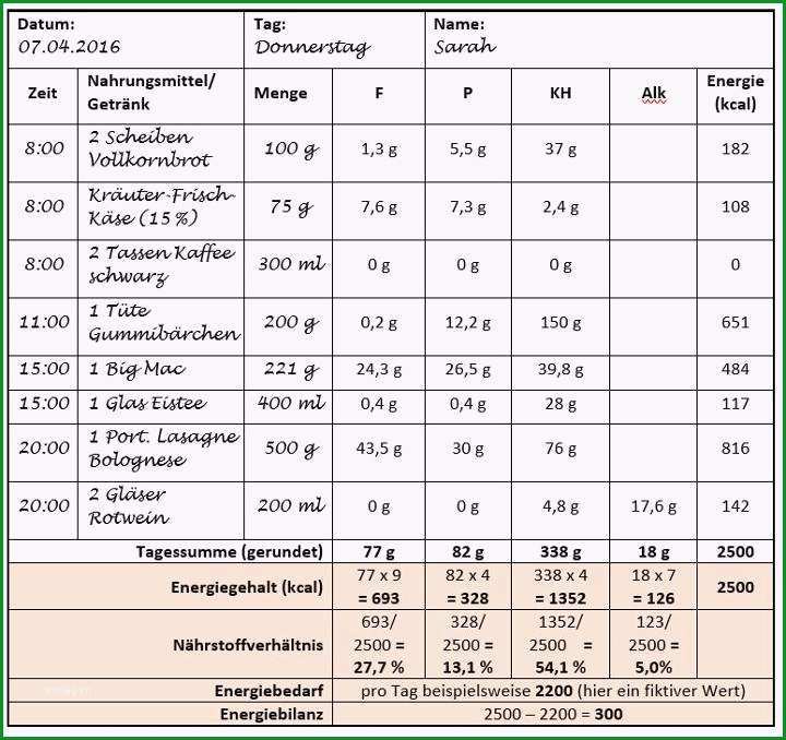 11 ernahrungsprotokoll vorlage word