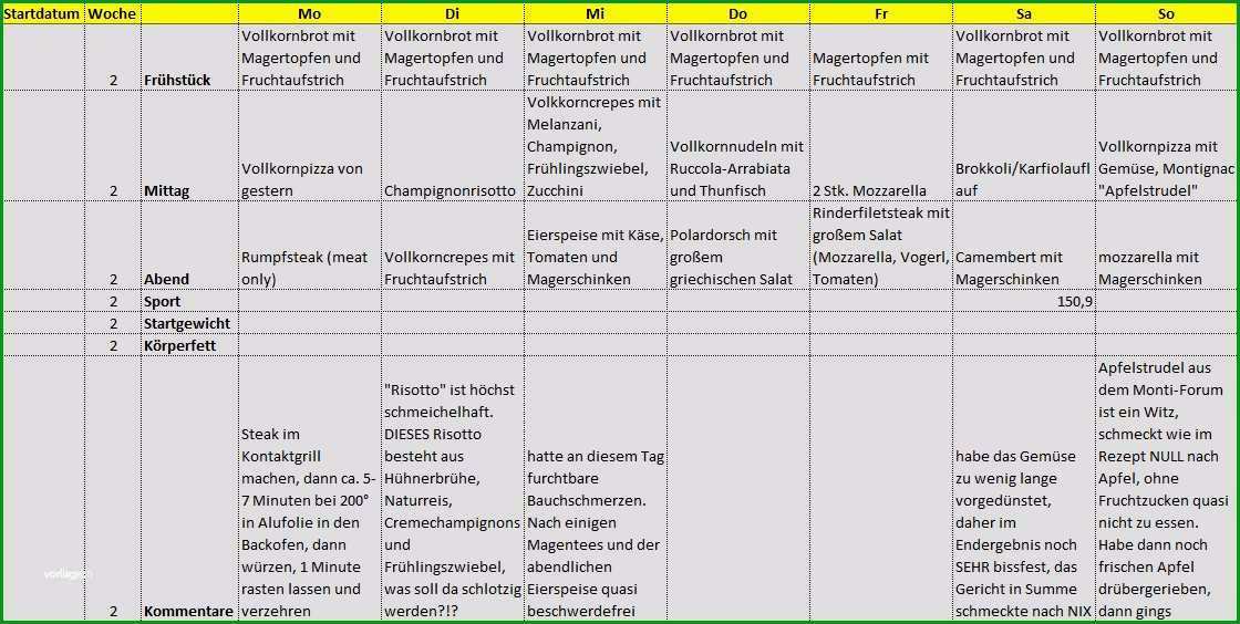 8 ernahrungsplan vorlage