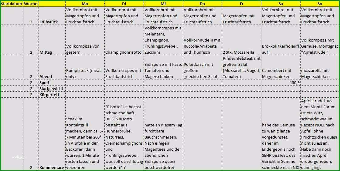 8 ernahrungsplan vorlage