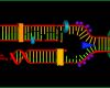 Außergewöhnlich Dna Transkription Und Dna Translation – Vom Gen Zum Protein