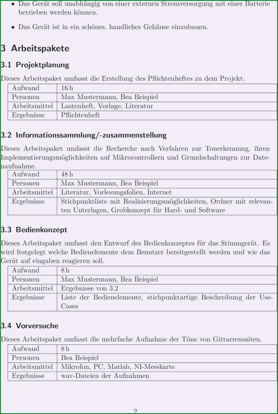 lastenheft muster