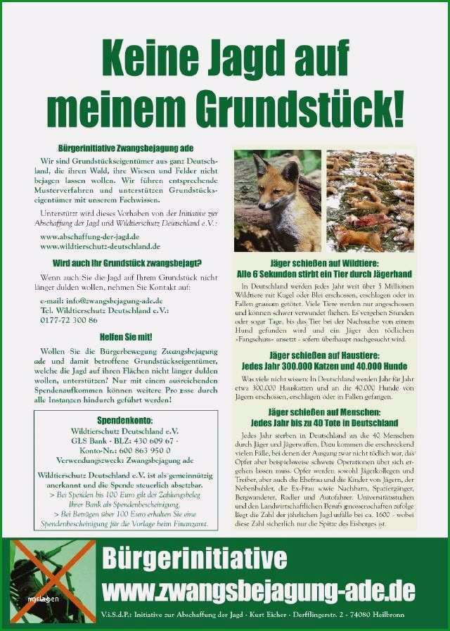 spendenbescheinigung vorlage finanzamt schonste zwangsbejagung ade keine jagd auf meinem grundstuck