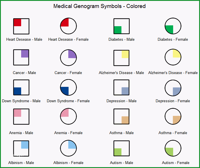 genogram symbols