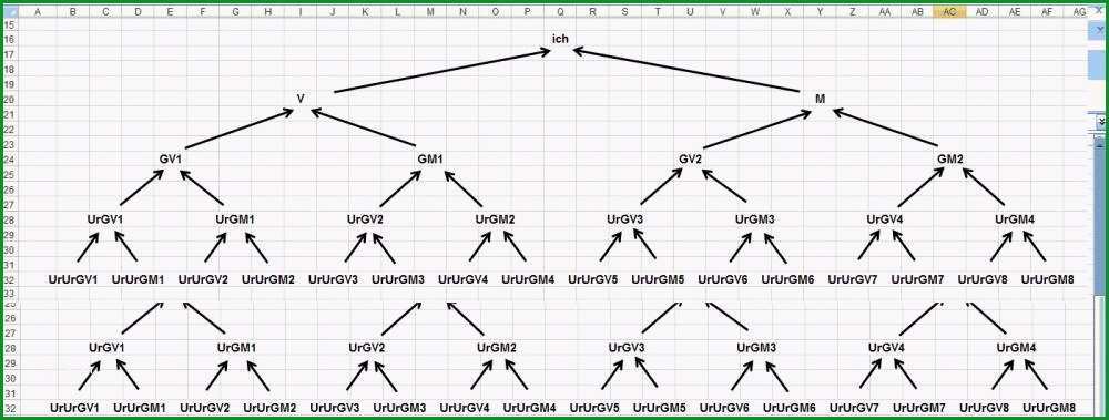 vorlage stammbaum excel