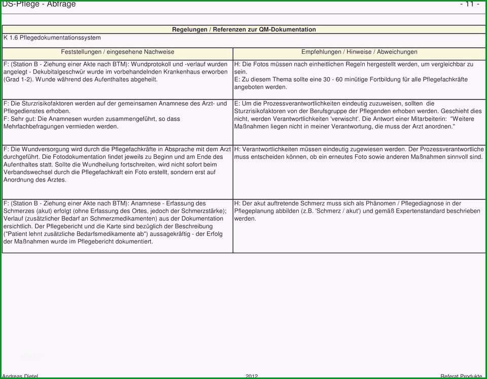 13 pflegeplanung muster