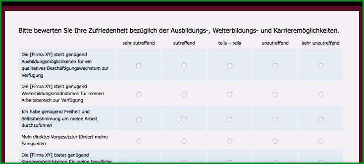 mitarbeiterzufriedenheit fragebogen vorlage