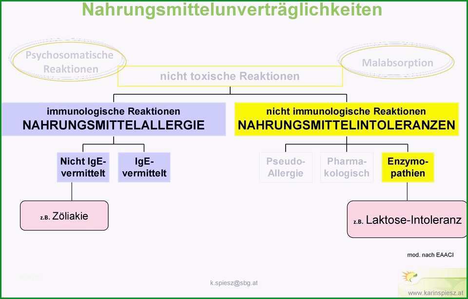 allergene speisekarte vorlage genial einzigartiges allergenkennzeichnung gastronomie vorlage