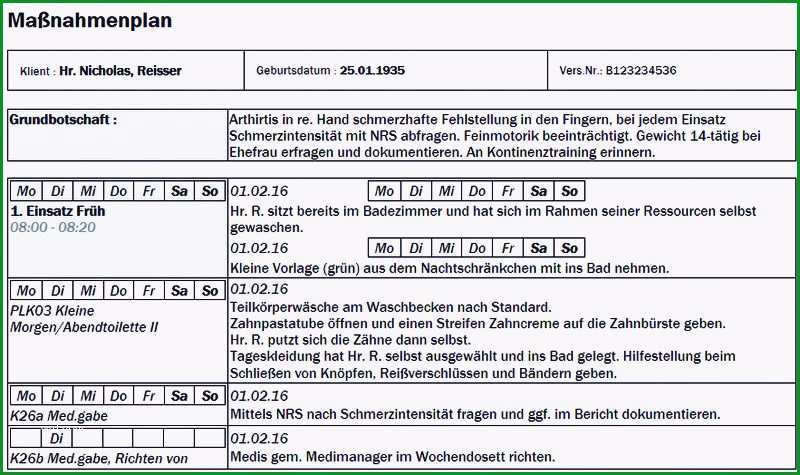 pflegeplanung vorlage