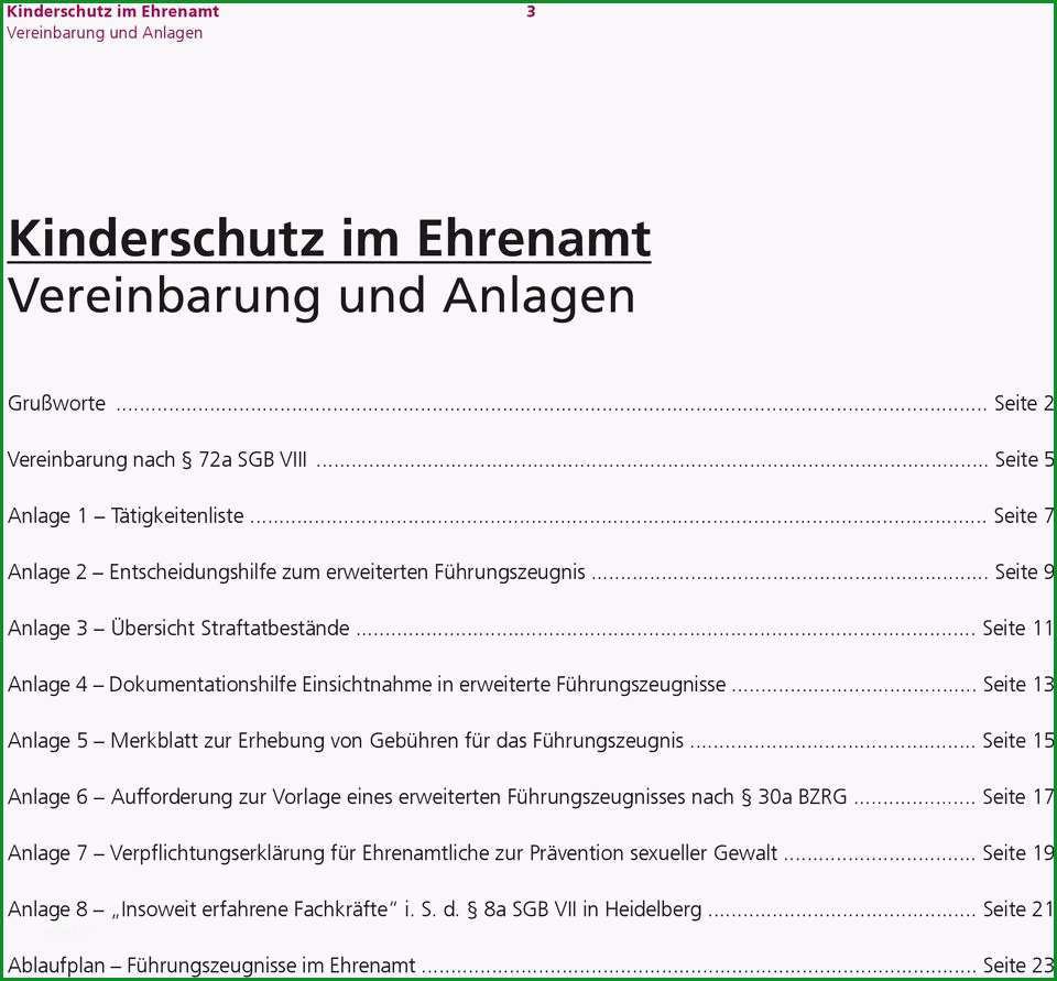 Kinderschutz im ehrenamt leitfaden fuer vereine und verbaende zur vorlage erweiterter fuehrungszeugnisse heidelberg de