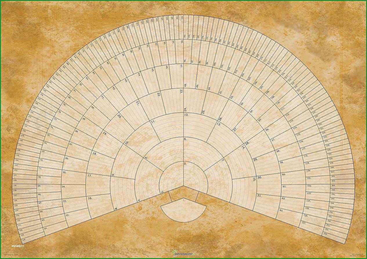 stammbaum vorlage 5 generationen erstaunlich ahnenposter online alnus pergament