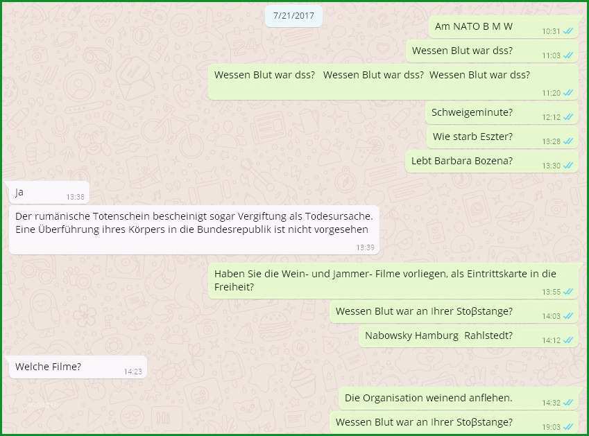 stammbaum vorlage mit geschwistern