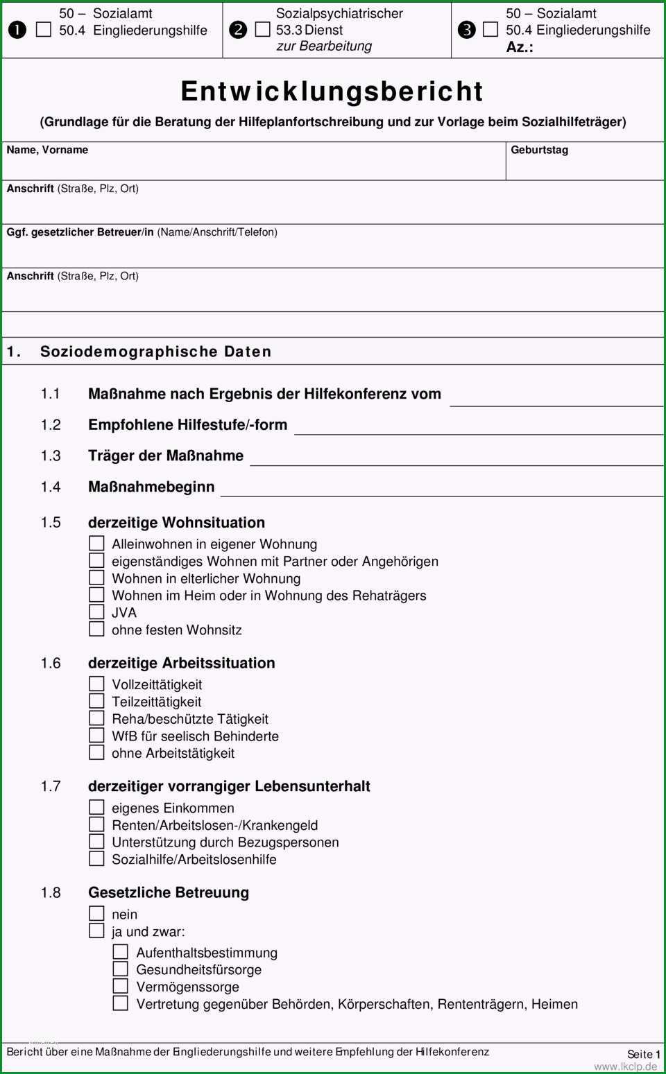 53 3 nst zur bearbeitung entwicklungsbericht grundlage fuer beratung der hilfeplanfortschreibung und zur vorlage beim sozialhilfetraeger