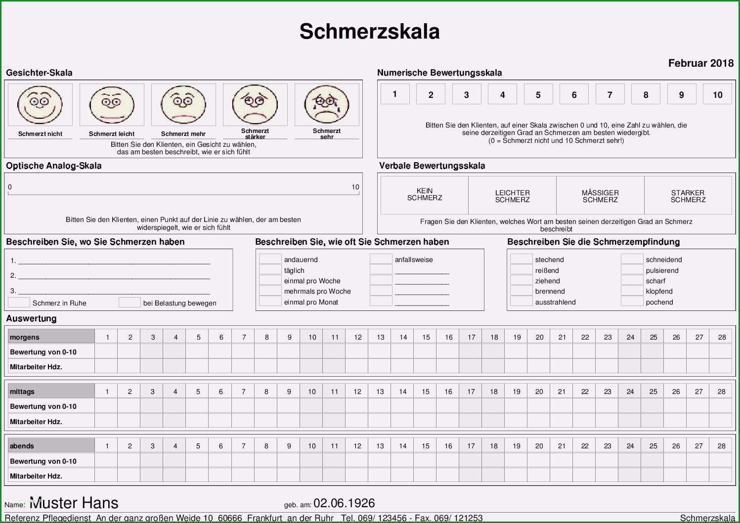 pflegebericht vorlage