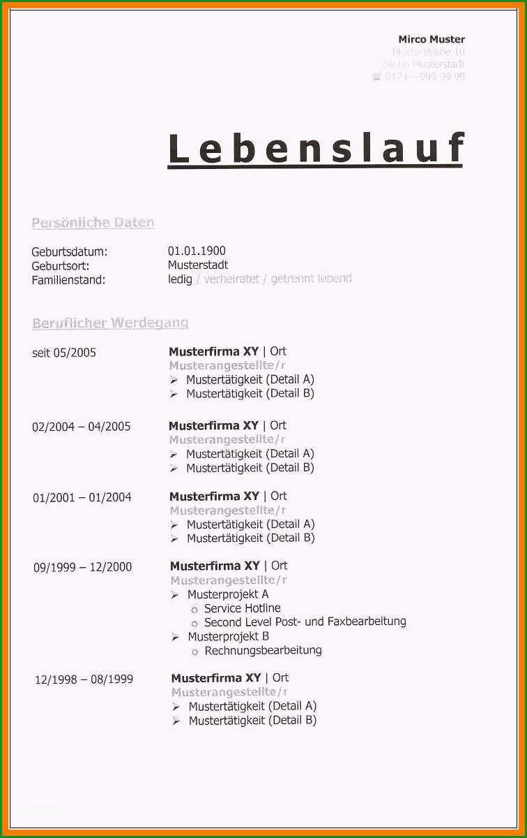 8 chronologischer lebenslauf muster