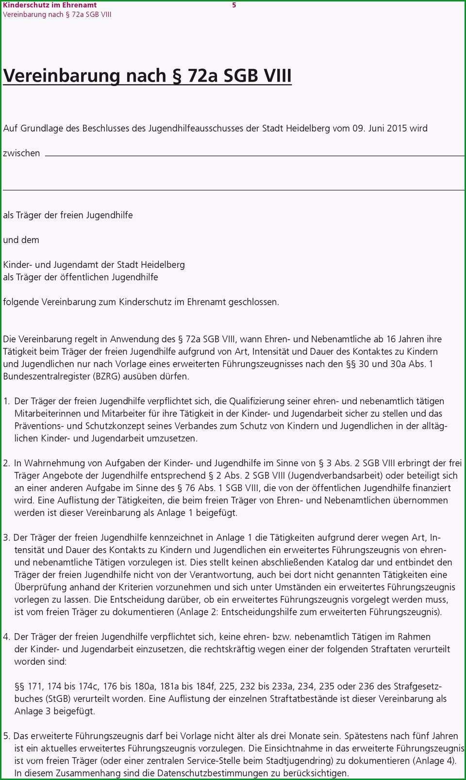 Kinderschutz im ehrenamt leitfaden fuer vereine und verbaende zur vorlage erweiterter fuehrungszeugnisse heidelberg de