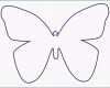 Bemerkenswert Schmetterling Vorlage 591 Malvorlage Vorlage Ausmalbilder