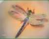 Beste 3d Dragonfly Tattoo Design Idea