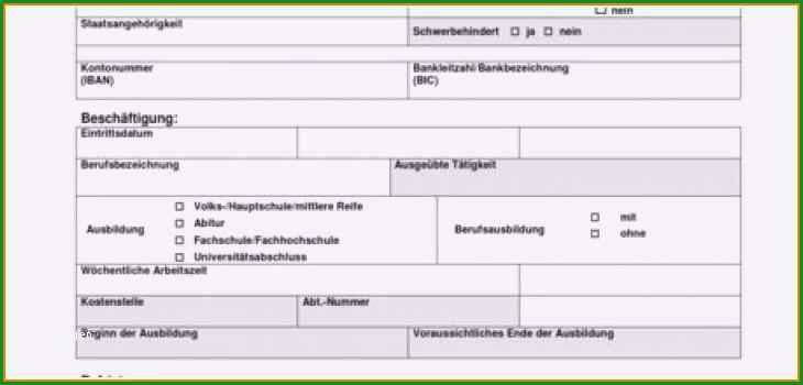 9 personalbogen vorlage