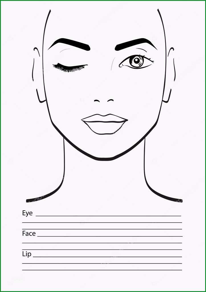 stock illustration face chart makeup artist blank