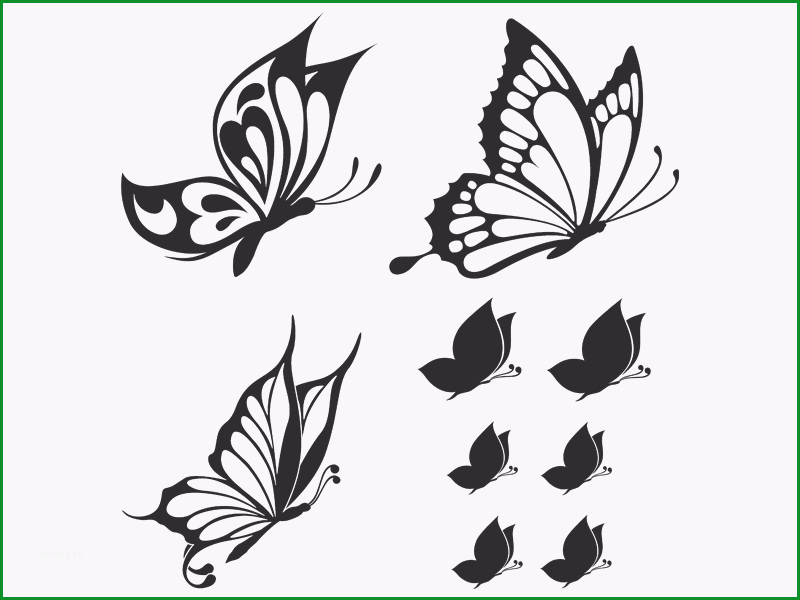 Schmetterling Vorlage Für Wand: 22 Methoden Für Deinen Erfolg 4