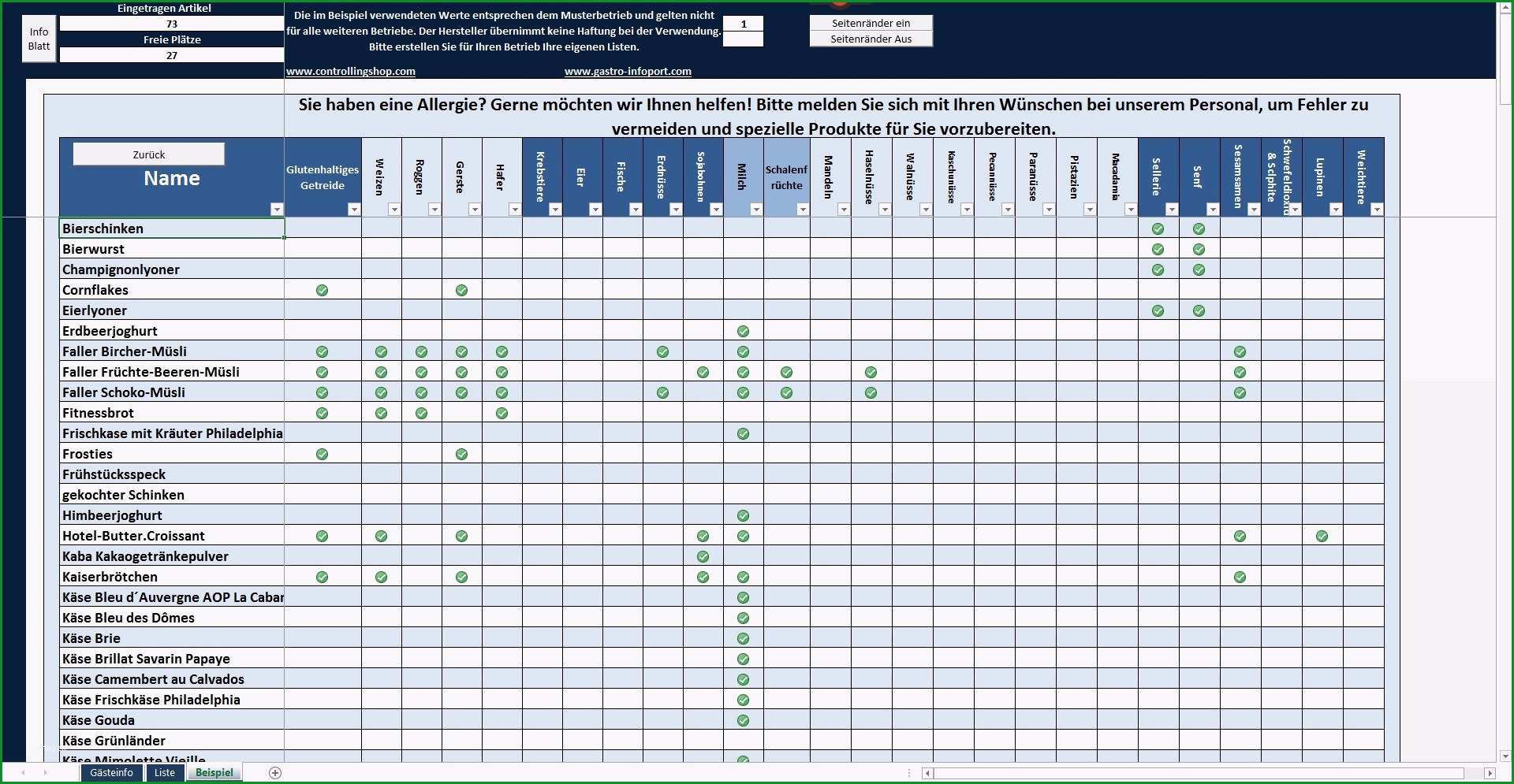 it dokumentation vorlage excel