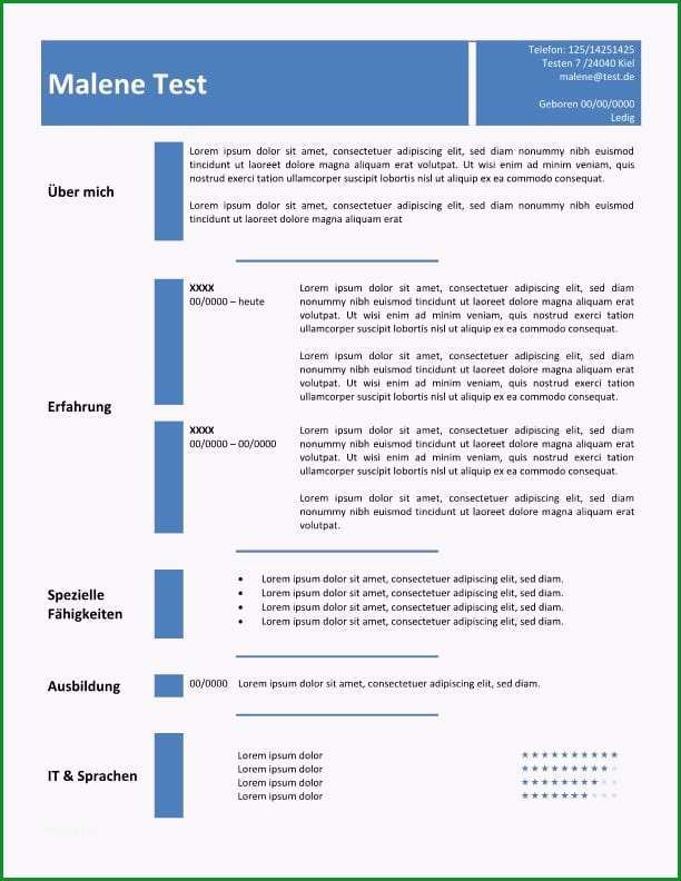 lebenslauf vorlage in tabelle blau