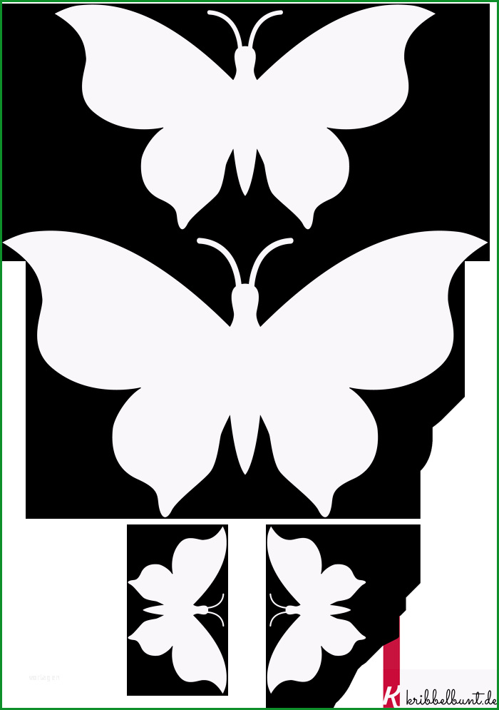 schmetterling vorlage