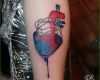 Beste Tattoo Vorlage Abstraktes Anatomisches Herz