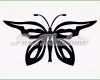 Beste Wandtattoo Schmetterling Nr 11 I Love Wandtattoo