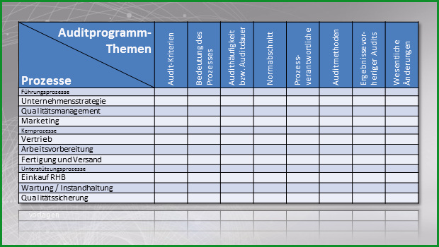 auditprogramm