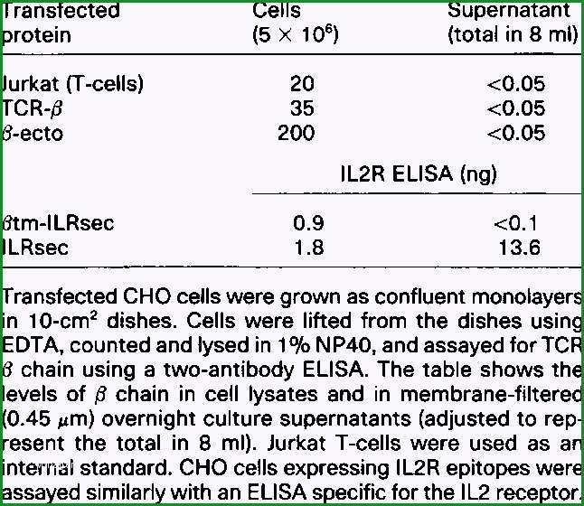 btm dokumentation vorlage wunderschonen relative levels and distribution of transfected proteins tcr elisa