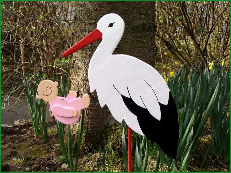 storch baby
