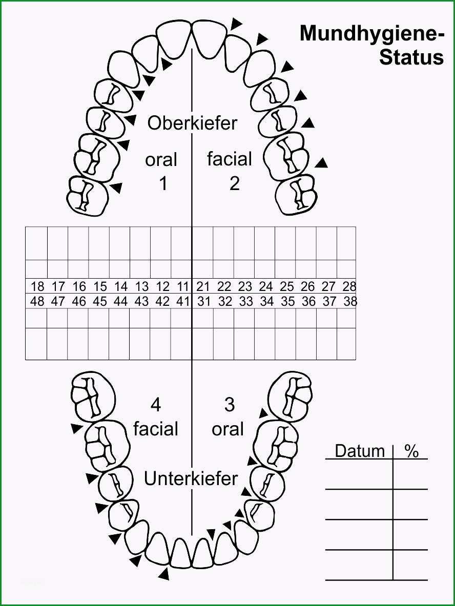 29 erstattung zahnreinigung vorlage