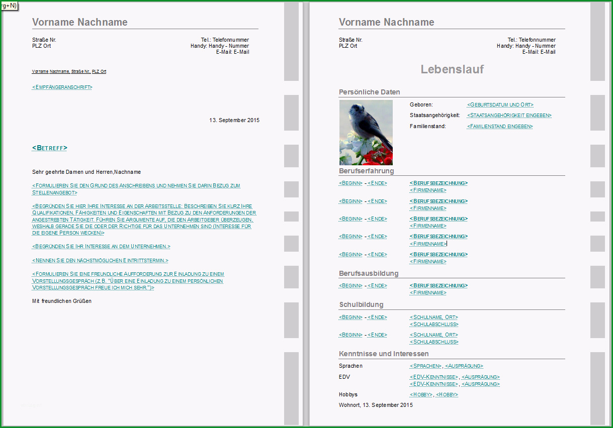 bewerbung anschreiben vorlage im design beige