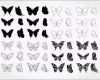 Einzahl Schmetterling Tattoo Liste Mit 11 Bedeutungen