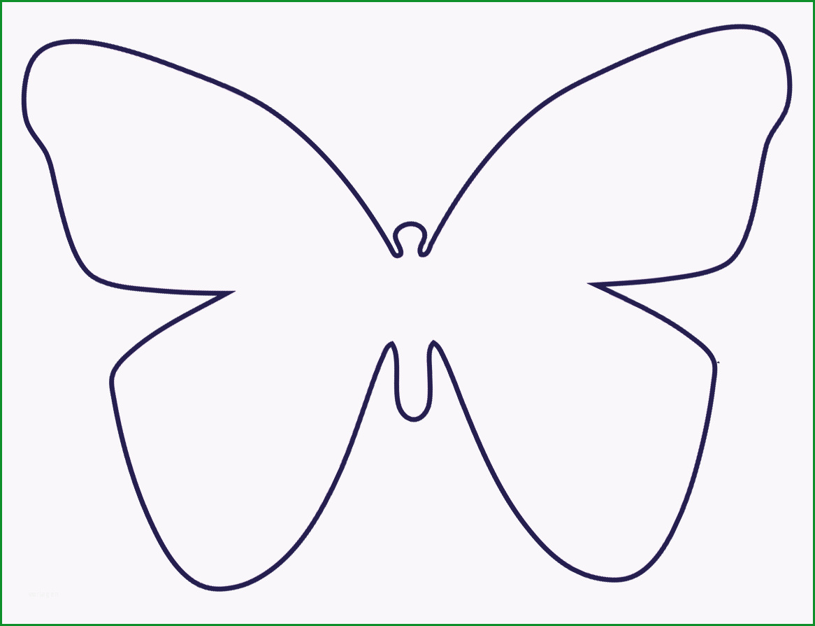 schmetterling vorlage 591