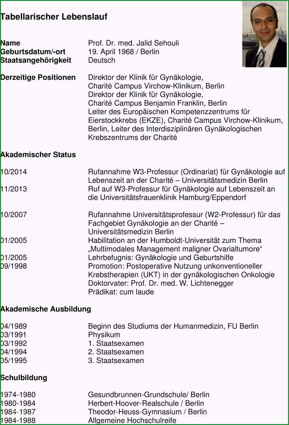 wissenschaftlicher lebenslauf