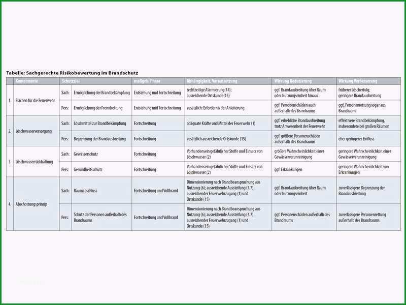 ausgezeichnet software risikoanalyse vorlage galerie