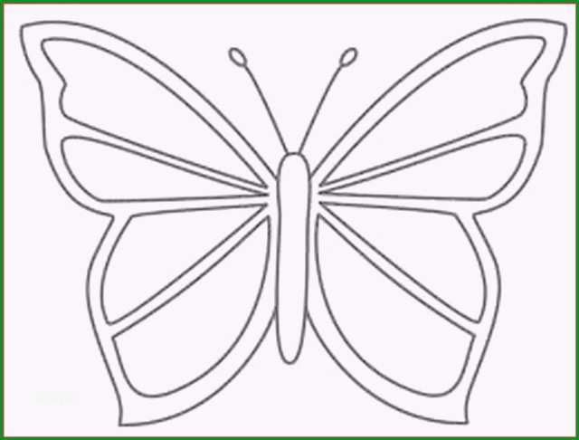 schmetterling vorlage zum ausdrucken