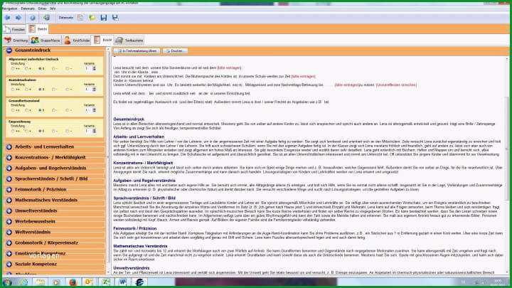professionelle entwicklungsberichte und beschreibung der lernausgangslage am pc erstellen